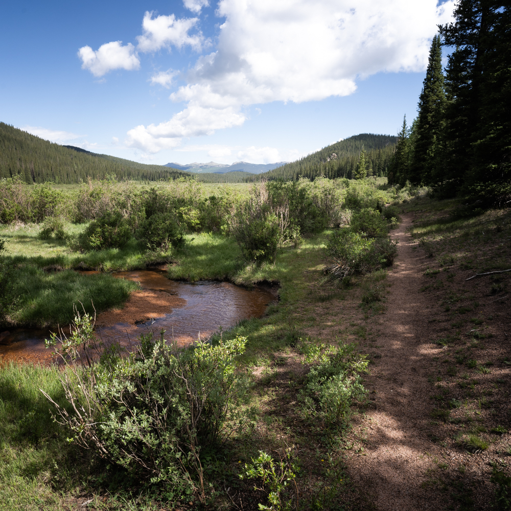 A meadow brook with a hiking trail in the foreground, background contains a range of the Rocky mountains