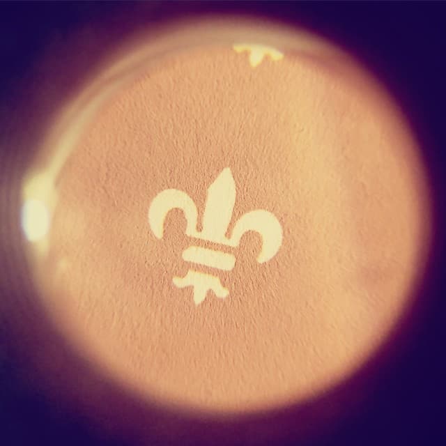 Macro view through a loupe of a fleur de lis